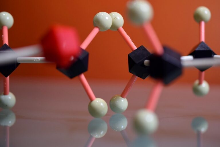 Modèle moléculaire illustrant le métabolisme en biochimie UE1 PASS
